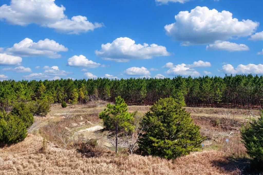 На продажу: $288,800 (14.44 acres)