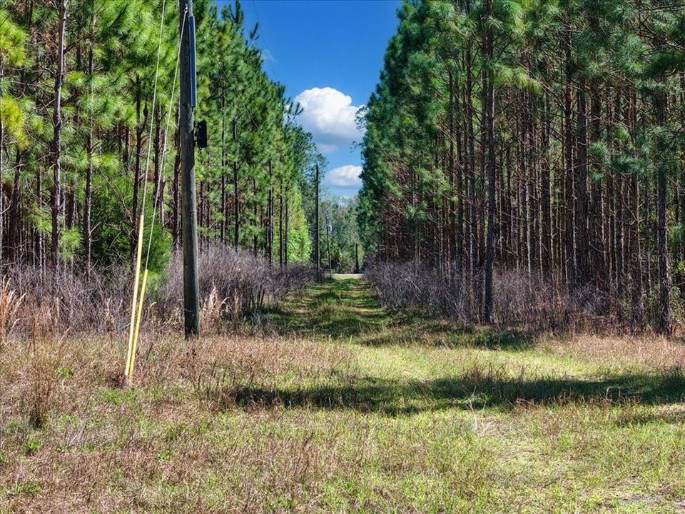 На продажу: $288,800 (14.44 acres)