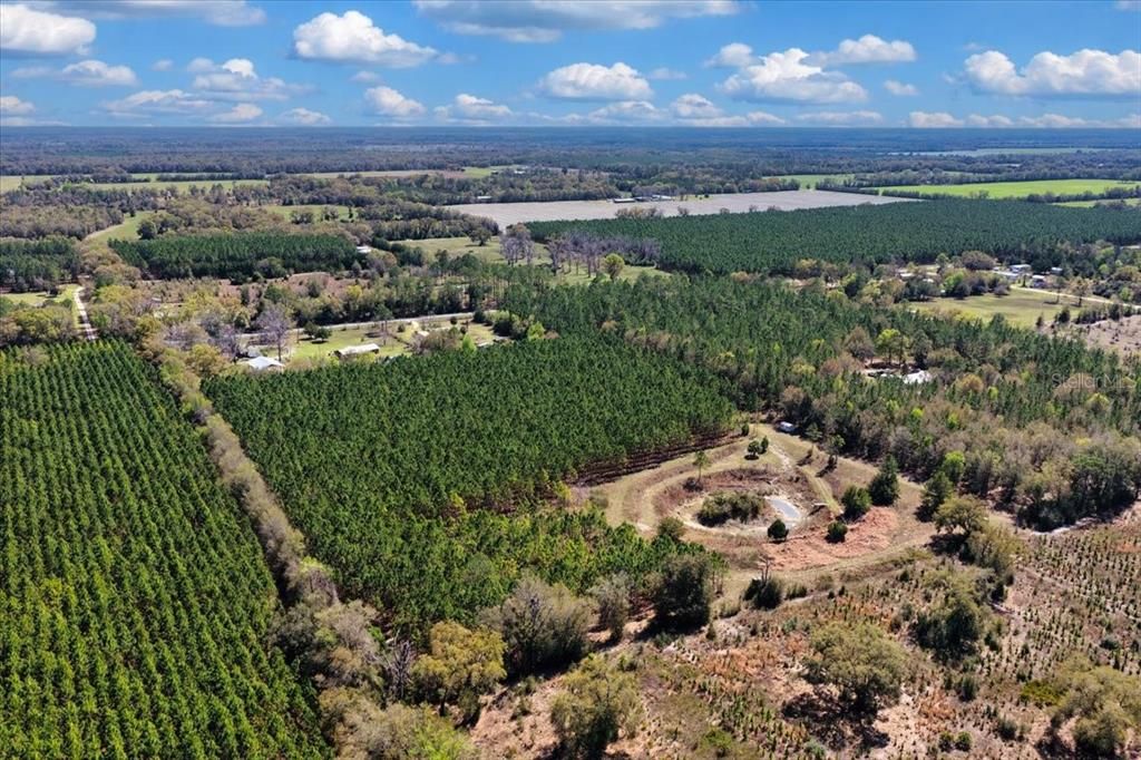 На продажу: $288,800 (14.44 acres)