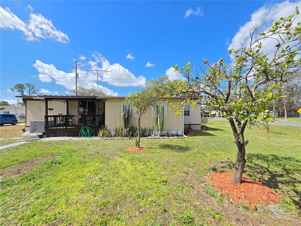 待售: $149,900 (3 贝兹, 1 浴室, 564 平方英尺)