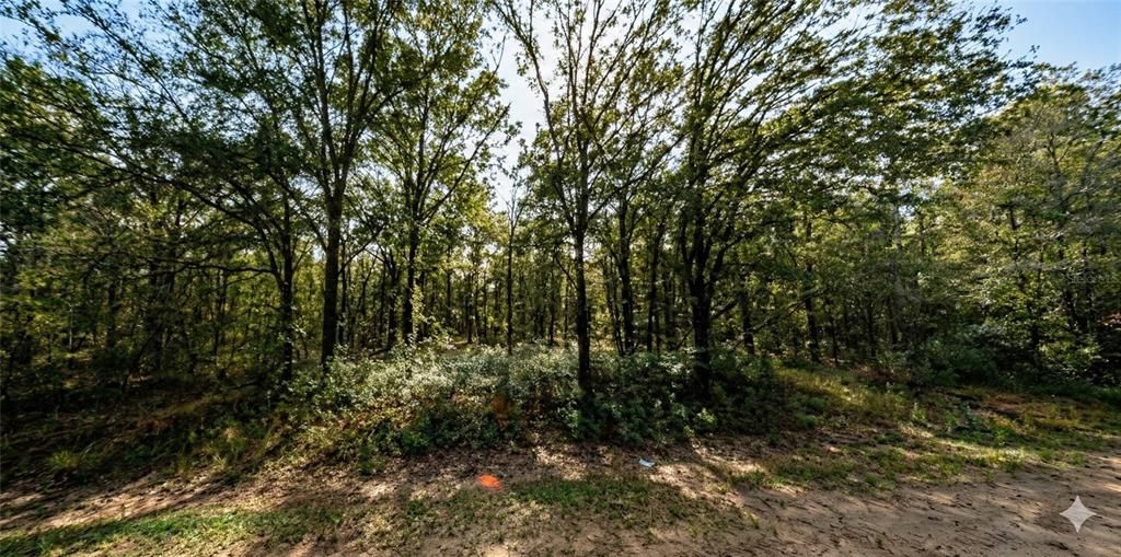 For Sale: $23,800 (1.13 acres)