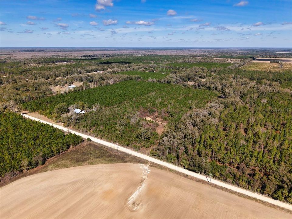For Sale: $229,500 (16.79 acres)