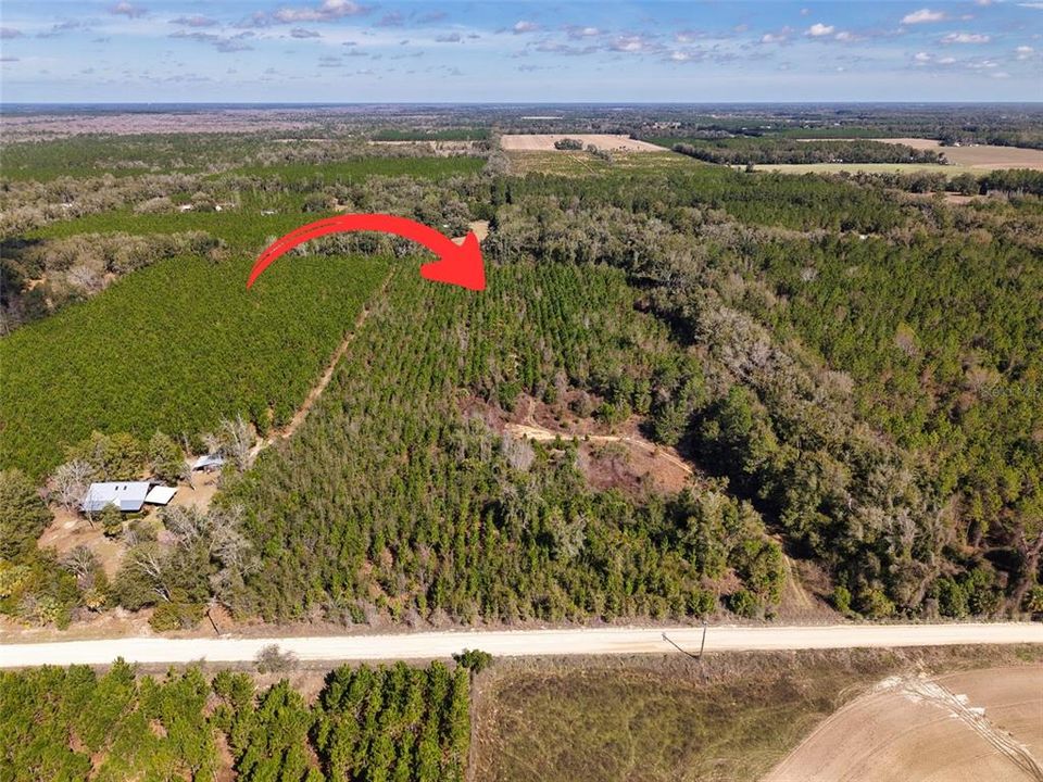 For Sale: $229,500 (16.79 acres)