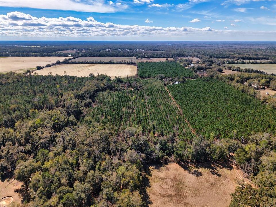 For Sale: $229,500 (16.79 acres)