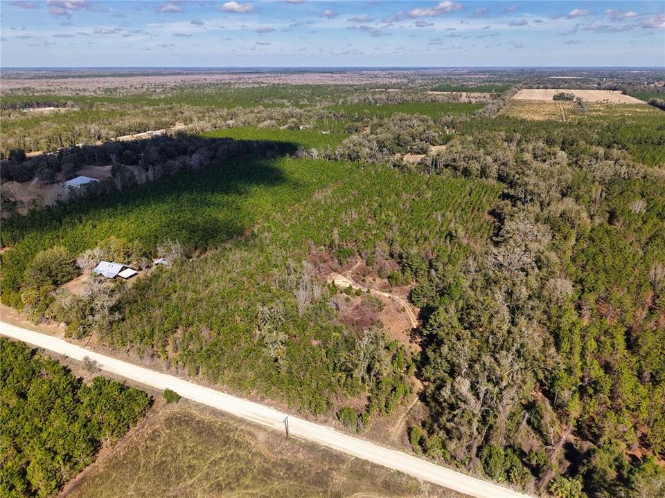 For Sale: $229,500 (16.79 acres)