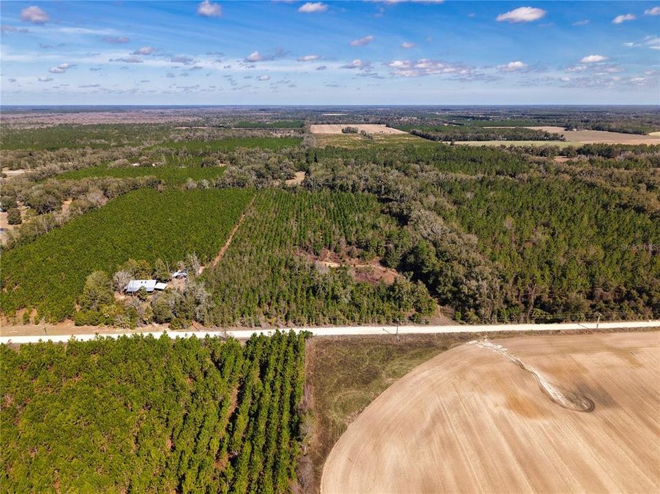 For Sale: $229,500 (16.79 acres)