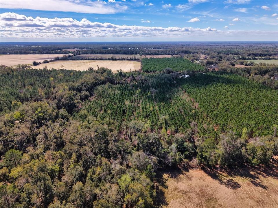 For Sale: $229,500 (16.79 acres)