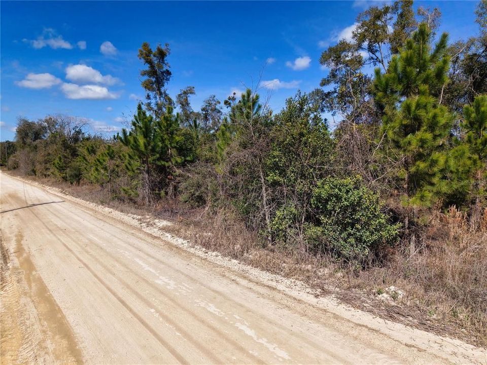 For Sale: $229,500 (16.79 acres)