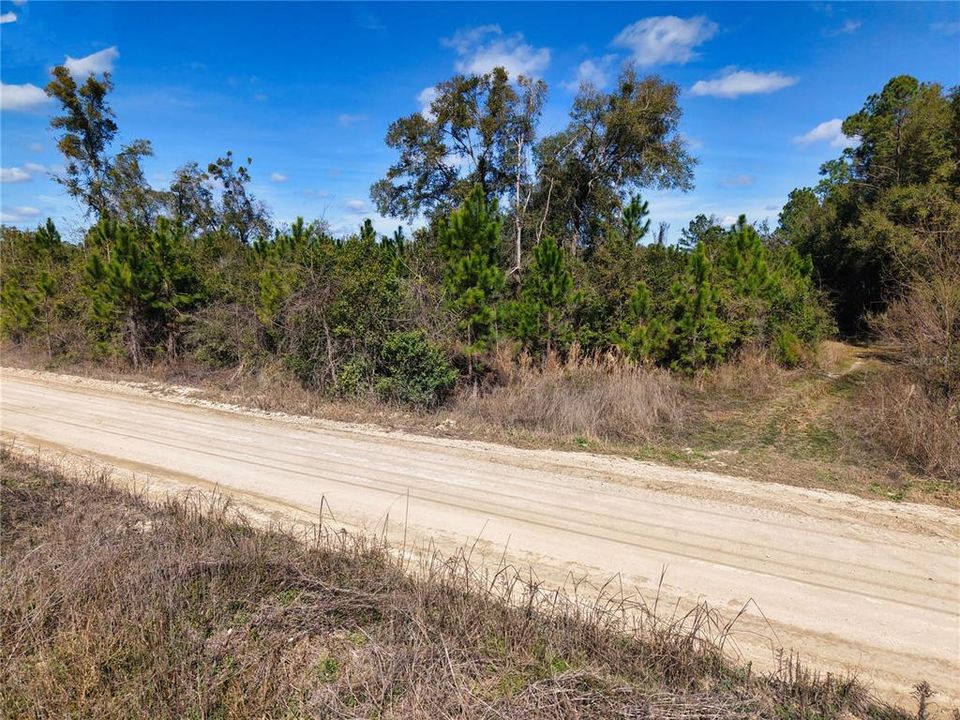 For Sale: $229,500 (16.79 acres)