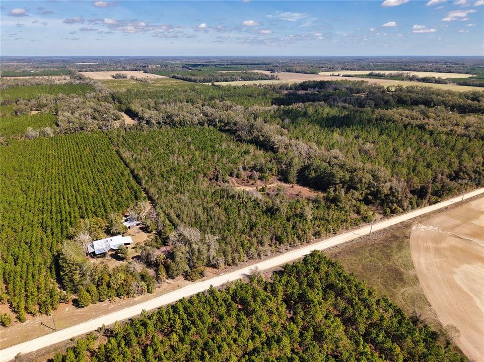 For Sale: $229,500 (16.79 acres)