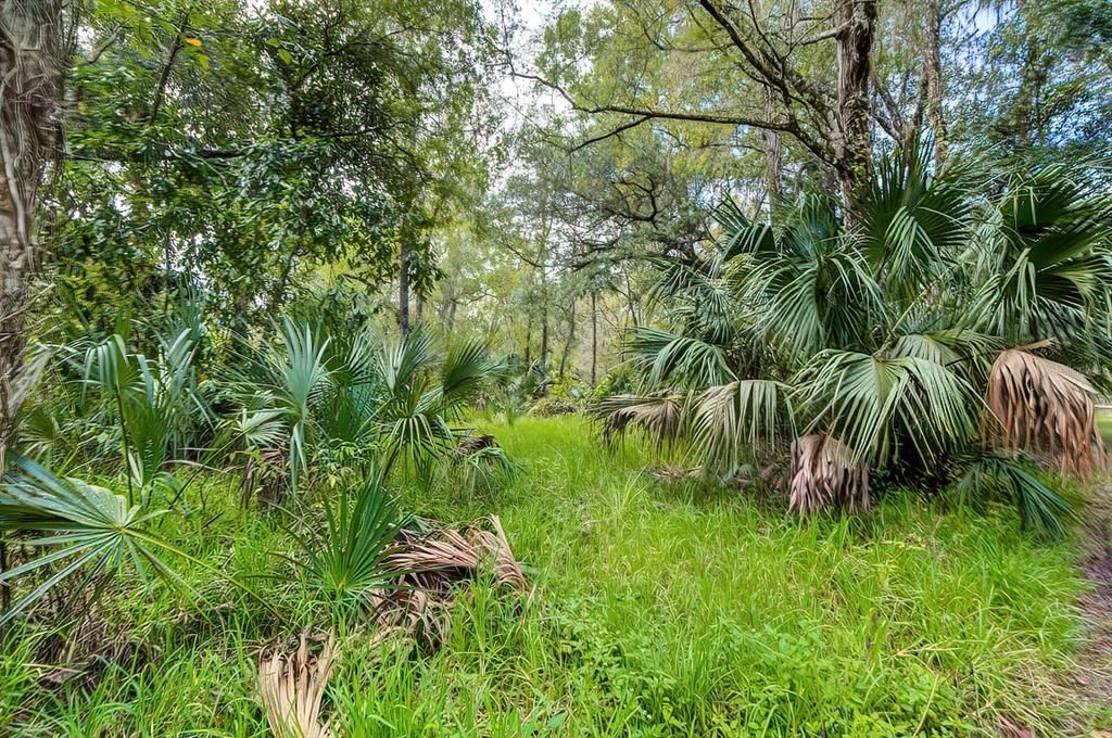 For Sale: $243,000 (8.15 acres)