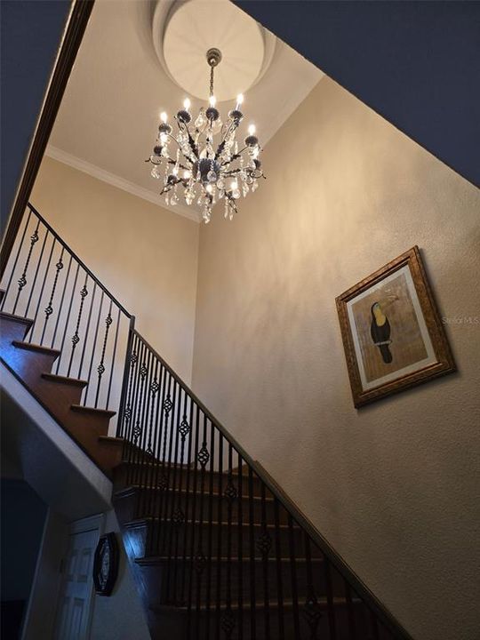 На продажу: $799,900 (5 спален, 4 ванн, 5136 Квадратных фут)