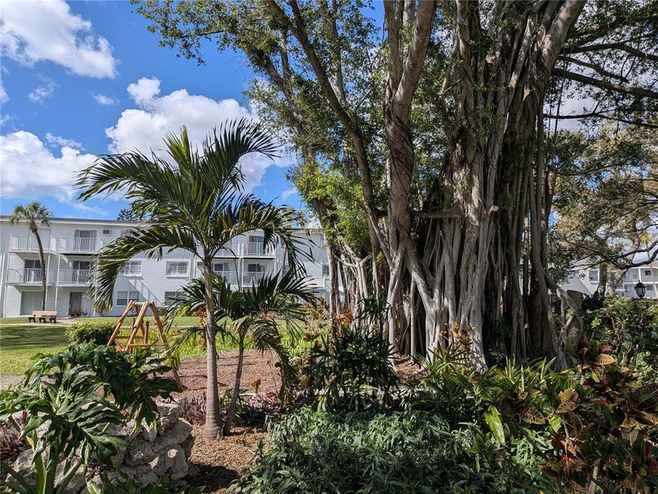 Active With Contract: $107,000 (2 beds, 1 baths, 744 Square Feet)