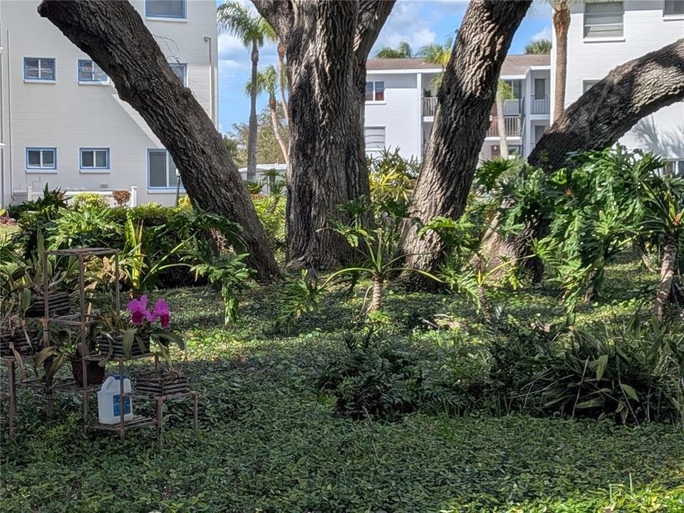Active With Contract: $107,000 (2 beds, 1 baths, 744 Square Feet)