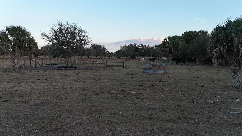 На продажу: $355,000 (20.98 acres)