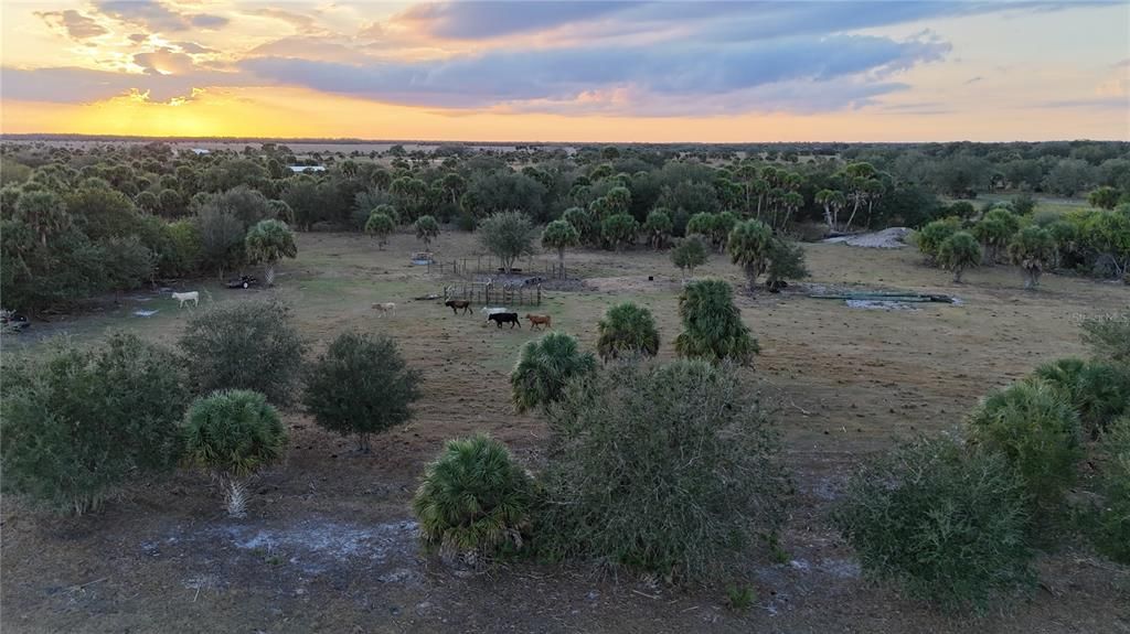 На продажу: $355,000 (20.98 acres)