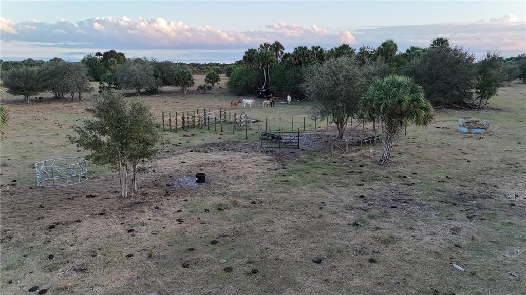 На продажу: $355,000 (20.98 acres)