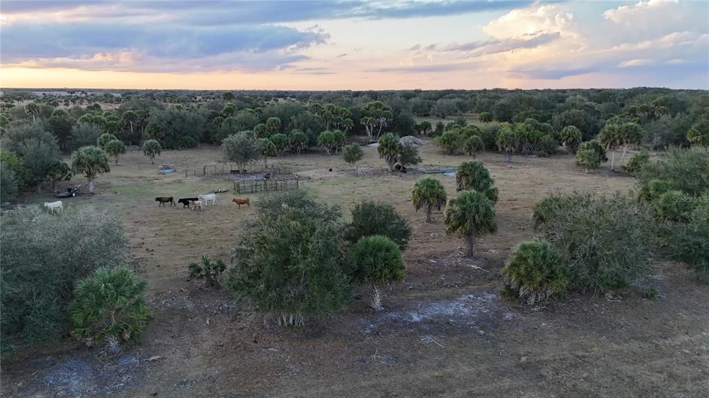 На продажу: $355,000 (20.98 acres)