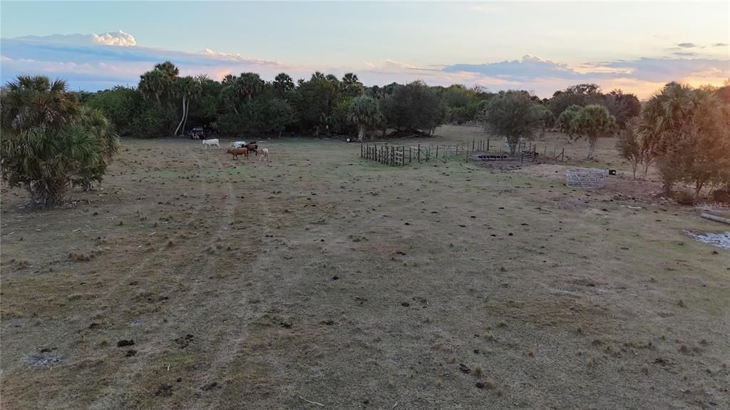 На продажу: $355,000 (20.98 acres)