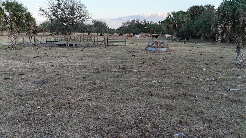 На продажу: $355,000 (20.98 acres)