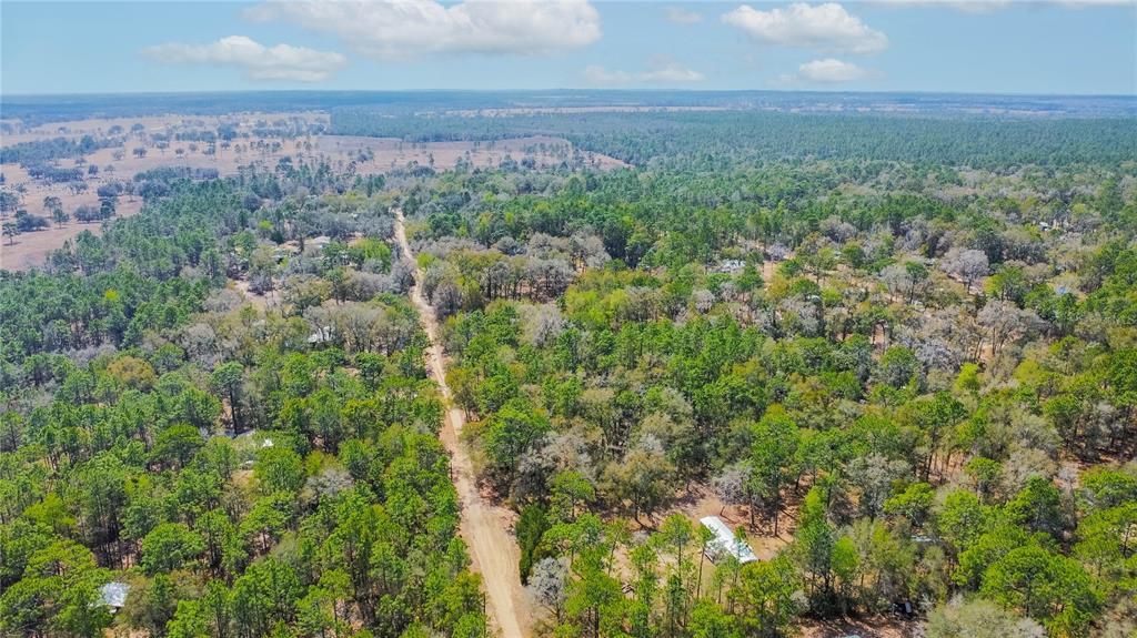 待售: $40,000 (1.30 acres)