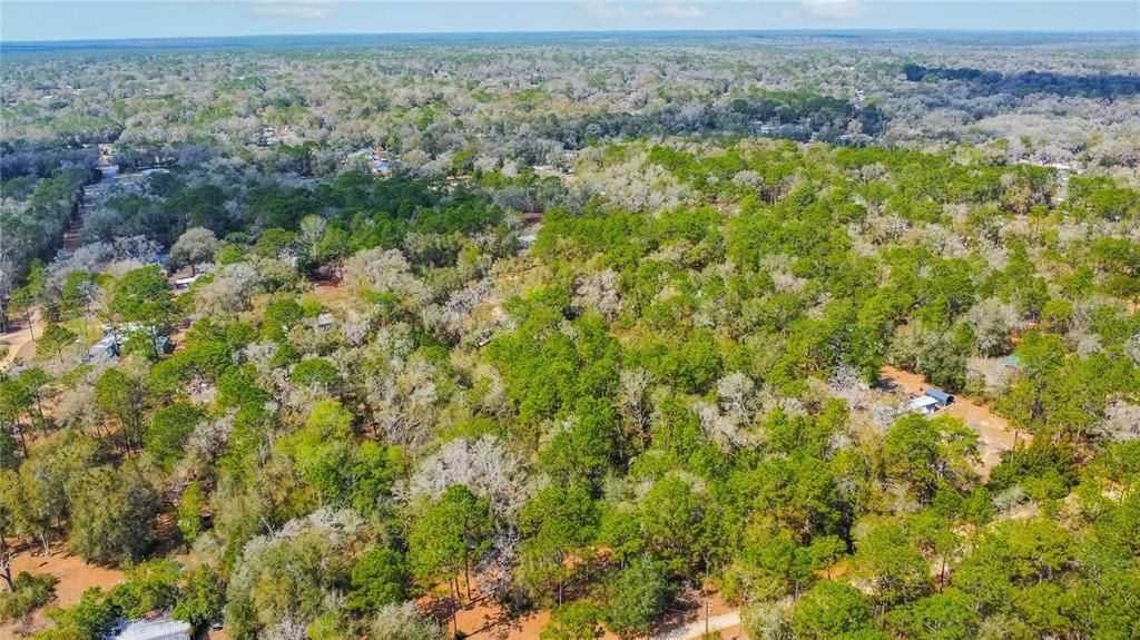 待售: $40,000 (1.30 acres)