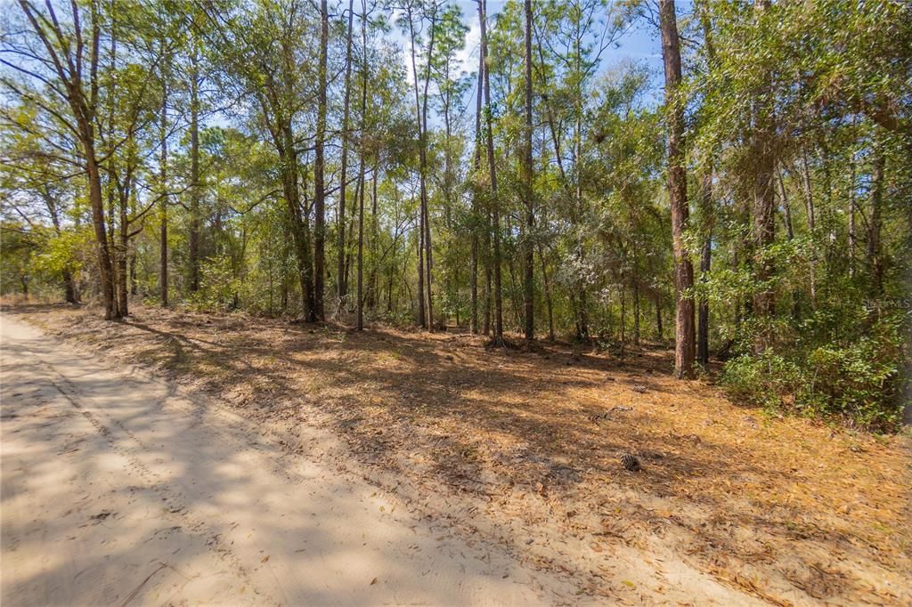待售: $40,000 (1.30 acres)