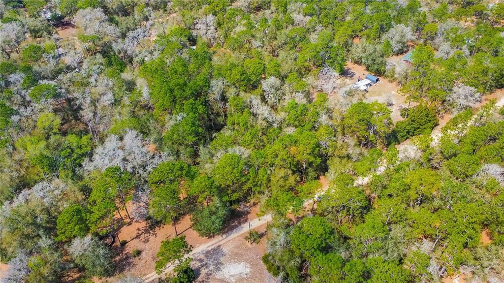 待售: $40,000 (1.30 acres)