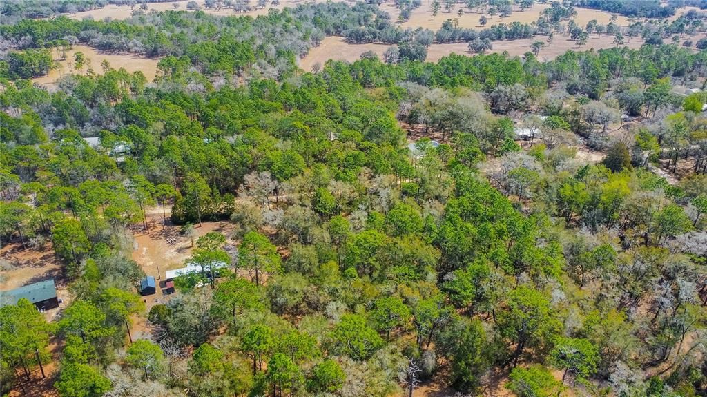 待售: $40,000 (1.30 acres)