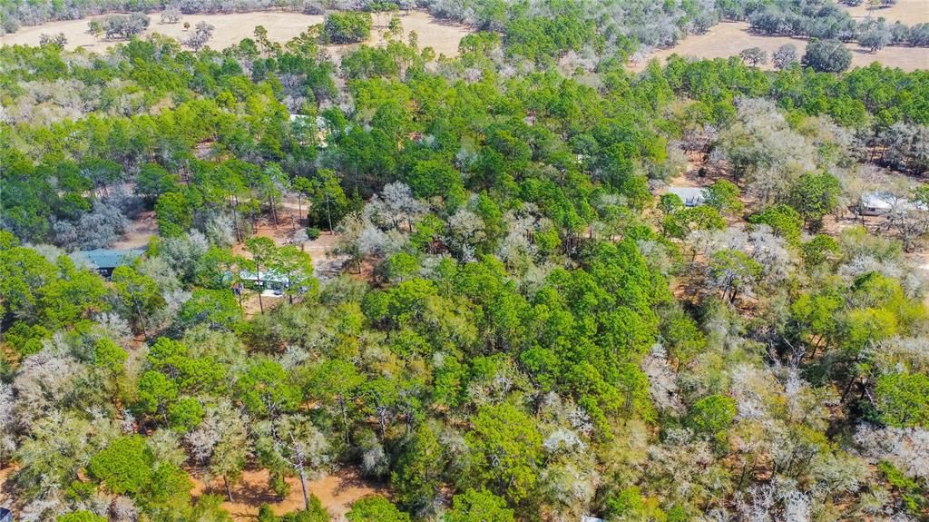 待售: $40,000 (1.30 acres)