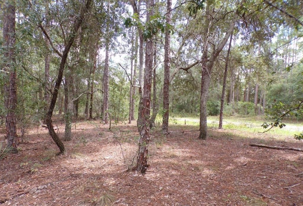 En Venta: $26,000 (0.23 acres)
