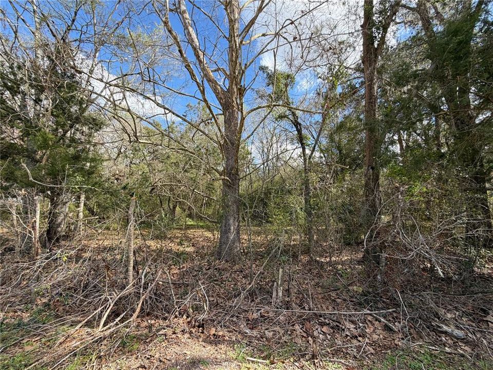 待售: $140,000 (2.14 acres)