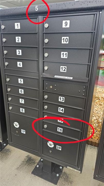 出租: $1,225 (1 贝兹, 1 浴室, 647 平方英尺)