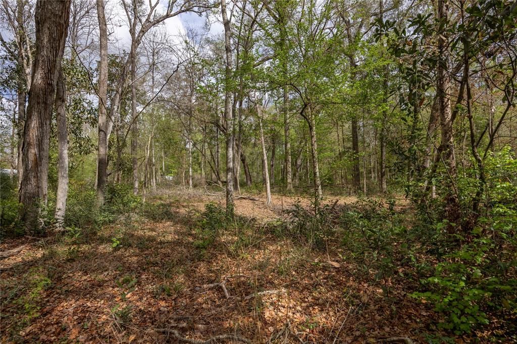 待售: $40,000 (0.92 acres)