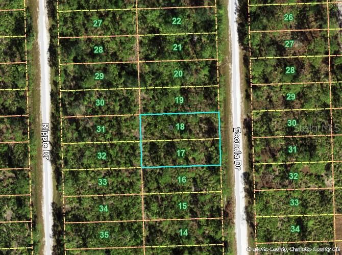 待售: $55,000 (0.22 acres)