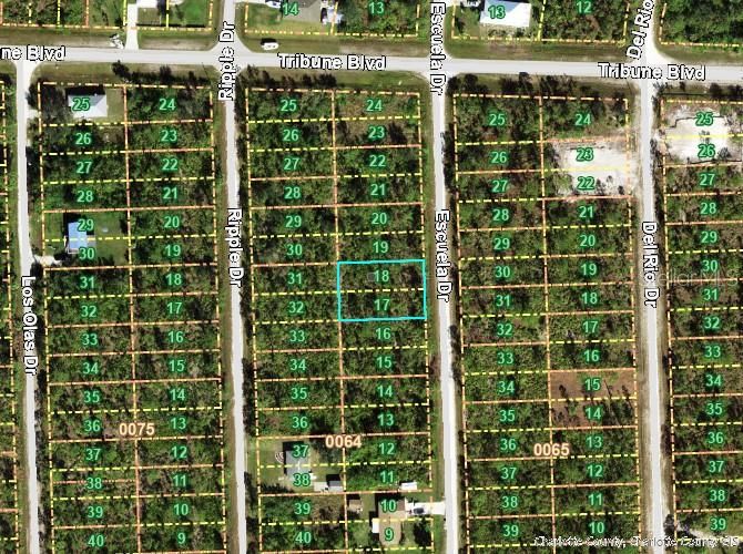 待售: $55,000 (0.22 acres)