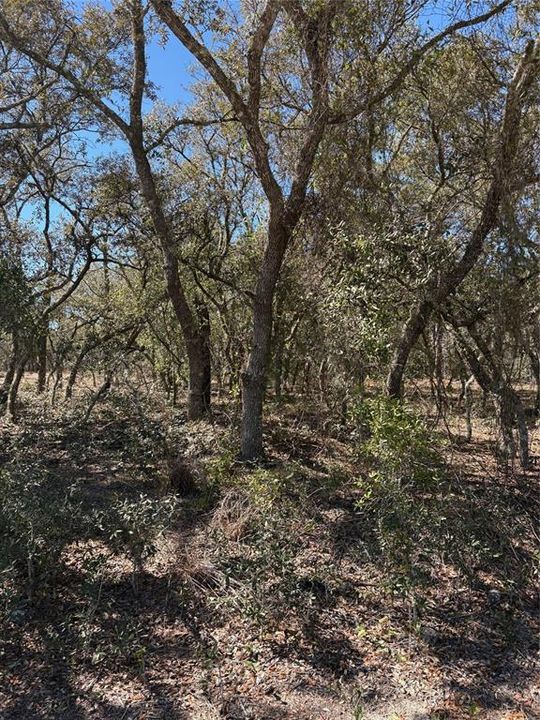 На продажу: $12,000 (0.25 acres)