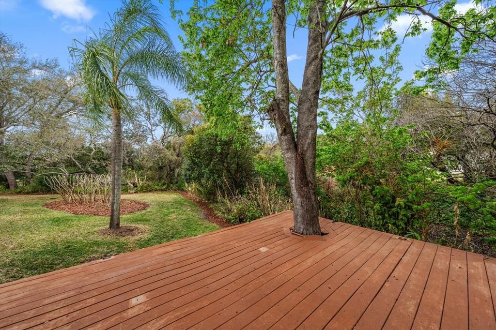 Active With Contract: $1,490,000 (5 beds, 4 baths, 4606 Square Feet)