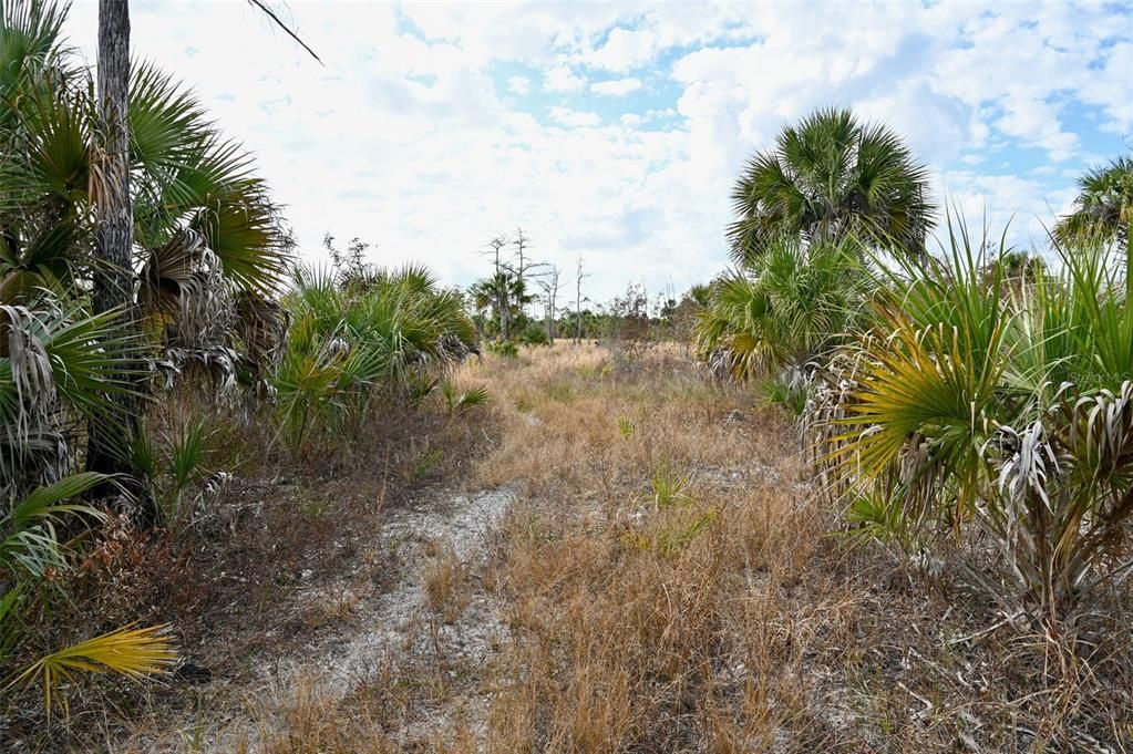 En Venta: $139,000 (9.74 acres)