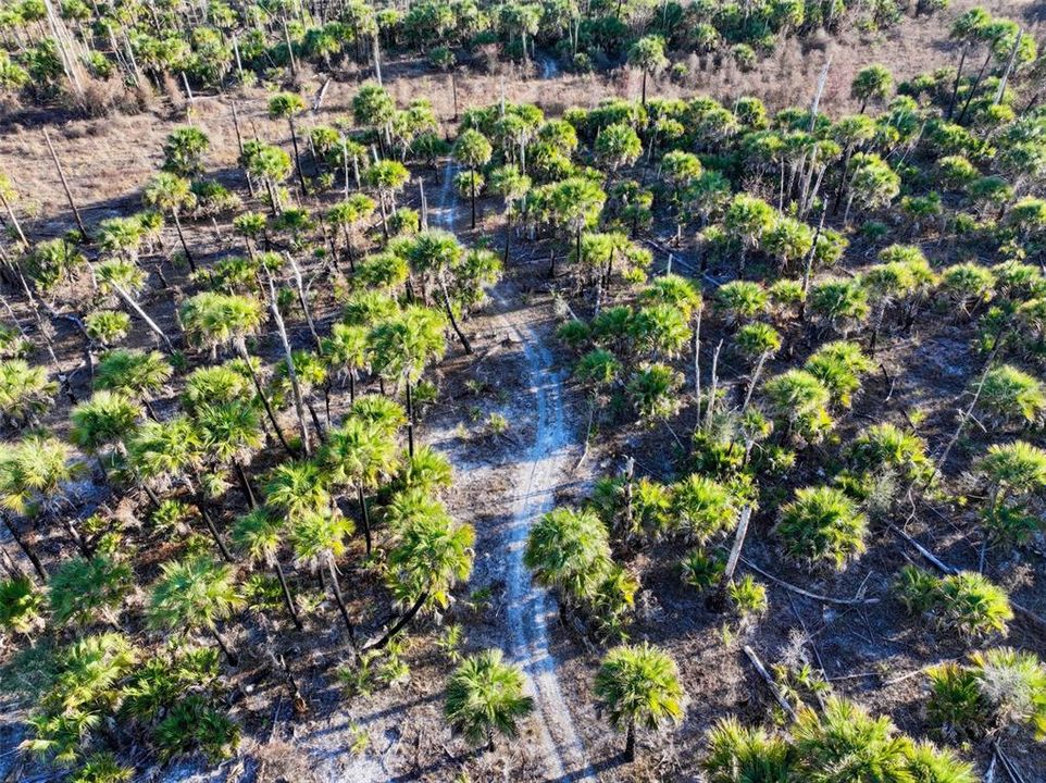 En Venta: $139,000 (9.74 acres)