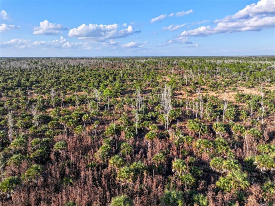 En Venta: $139,000 (9.74 acres)