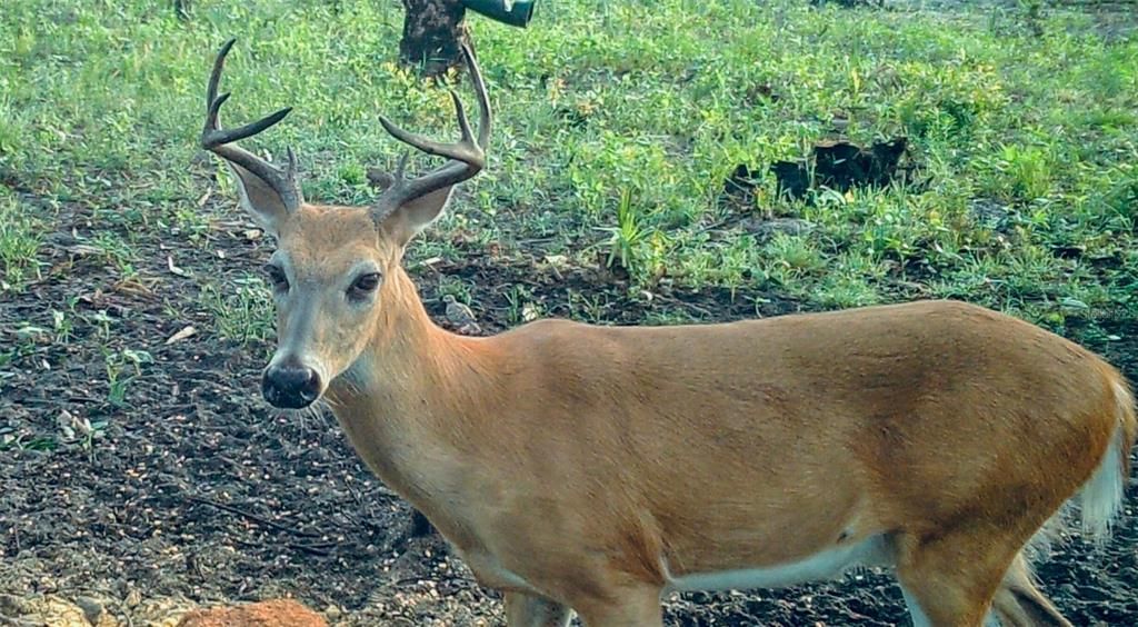 En Venta: $139,000 (9.74 acres)