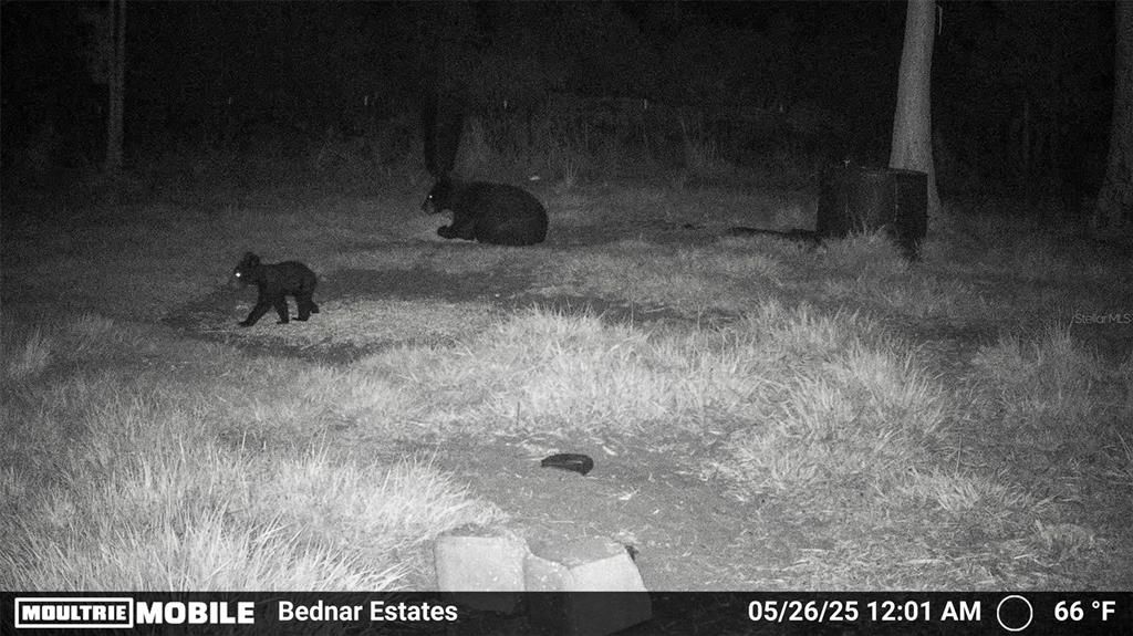 En Venta: $139,000 (9.74 acres)