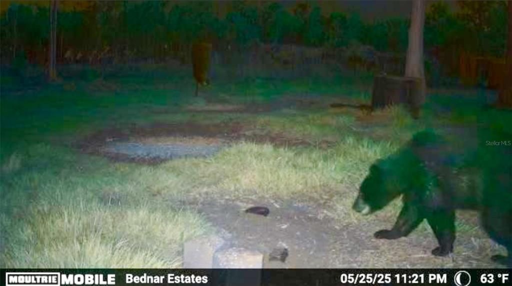 En Venta: $139,000 (9.74 acres)