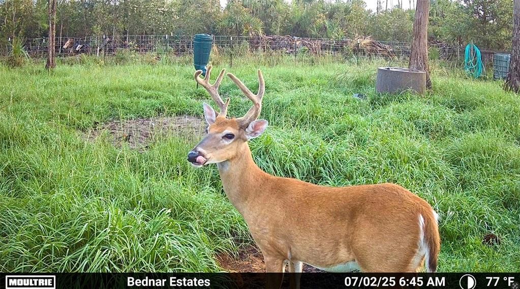 En Venta: $139,000 (9.74 acres)