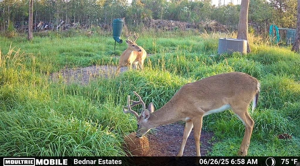 En Venta: $139,000 (9.74 acres)