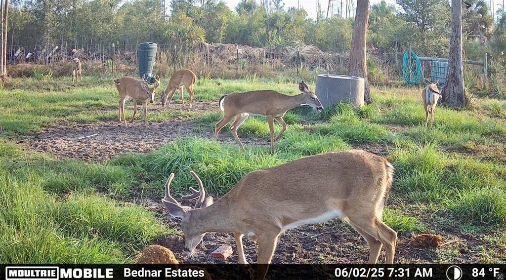 En Venta: $139,000 (9.74 acres)