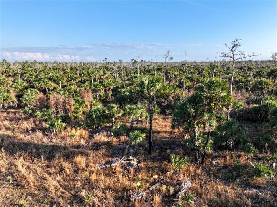 En Venta: $139,000 (9.74 acres)