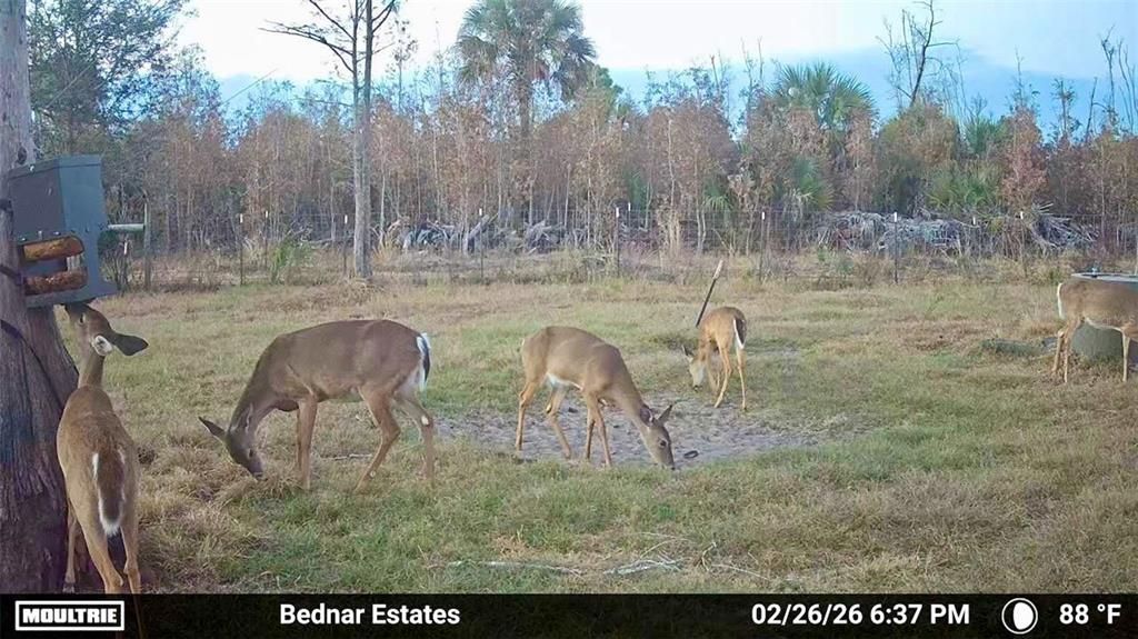 En Venta: $139,000 (9.74 acres)