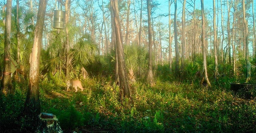 En Venta: $139,000 (9.74 acres)